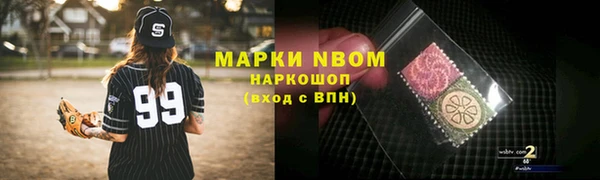 мдпв Горнозаводск