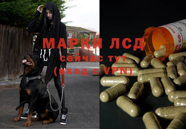 a pvp Осташков