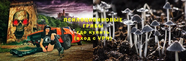 мдпв Горнозаводск