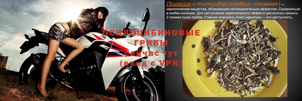 молекула духа Осинники