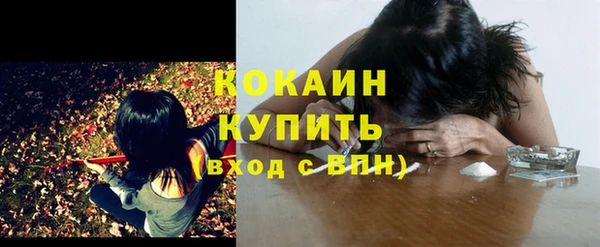 соль курить ск Няндома