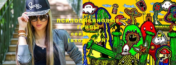 соль курить ск Няндома