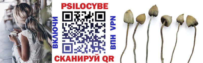 Галлюциногенные грибы Cubensis  Козьмодемьянск 