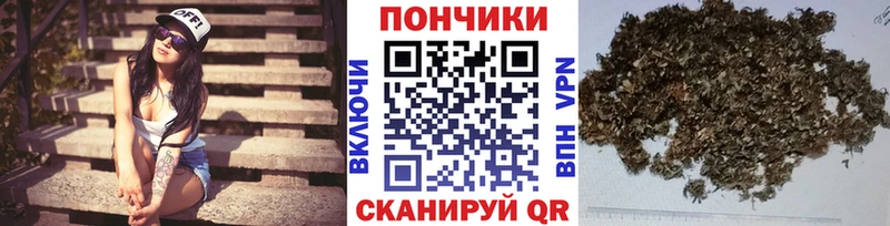 Шишки марихуана конопля  Козьмодемьянск 